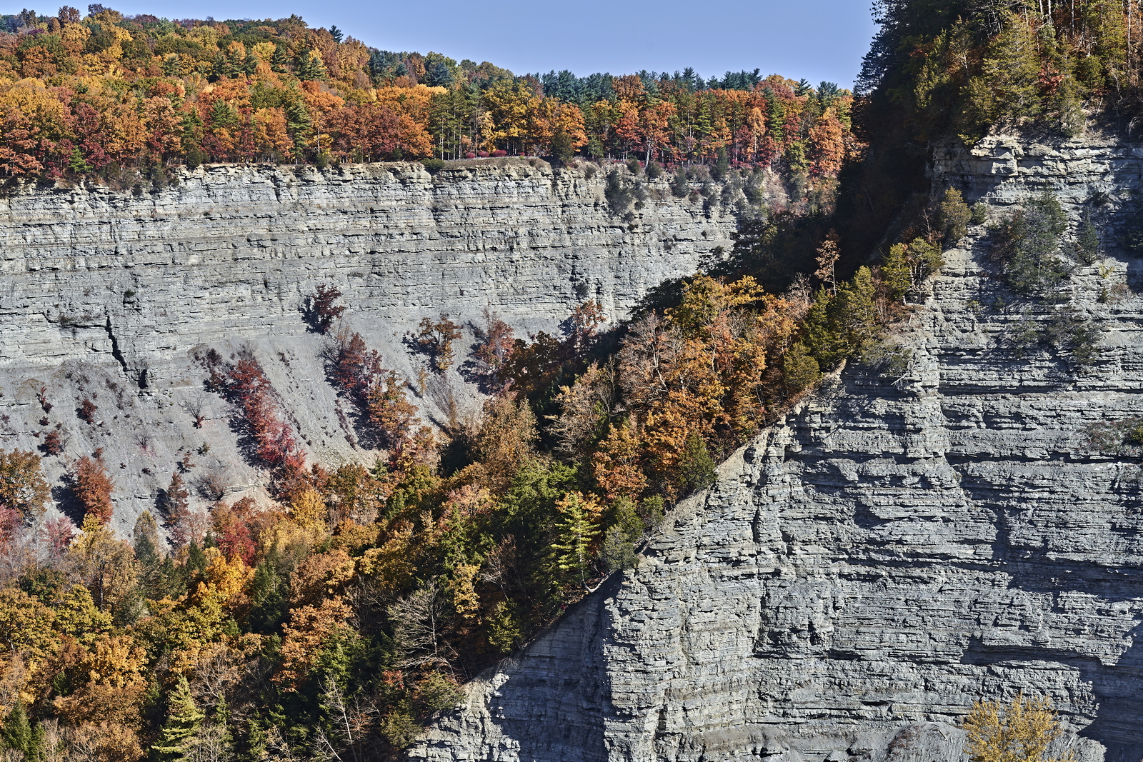 Indian Summer, Letchworth State Park, NY, USA